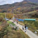 도원농원 이미지