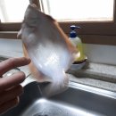 오투펜션 이미지