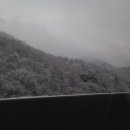 지혜동 농장 이미지