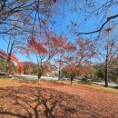 지하철역사(현충원역) | 대전 현충원