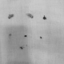 동주동물병원 이미지