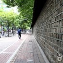 돌담길 이미지