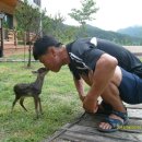 알프스펜션 이미지