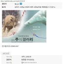 김유식 이미지
