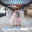 달크랩현대 | 신혼여행 3day｜아일랜드빈티지커피, 와이키키비치 스냅촬영, 오션스타 선셋 거북이스노쿨링, 케이준크랩