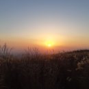 황매산미리내파크 오토캠핑장 이미지