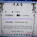 펫어디가 이미지