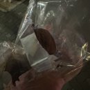 안경박사 본점 | 22살이라는 게 믿기지 않는 “1월”🥺