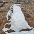 황금수퍼 이미지