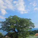 남해-300 이미지