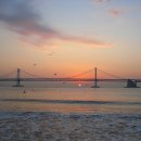 바다해오름 이미지