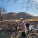 경주문화재해설 | [포항/경주] 1박 2일 모녀 겨울여행 (3)경주편...내돈내산, 천마총, 석굴암 주차장, 문화해설 사전예약⭐