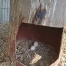 종신농장 이미지