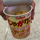 11650-16-43-15 | [임신15주-16주] 임신 안정기 진입, 후쿠오카 태교여행, 유린기냉면, 온유콘서트!!