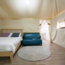 동물카라반펜션 이미지