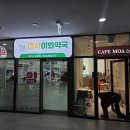 미사그린약국 네이버블로그