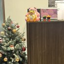 자연담화협동조합 | [맛집추천] 상봉 이자카야 ‘담화’ 내돈내산 후기｜후토마끼·스키야끼·하이볼 맛집