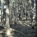 산장찻집(동전고개) 이미지