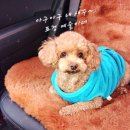 건축사사무소예담 이미지