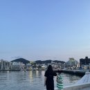 동피랑약국 이미지