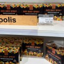 시드니짐 | 시드니 면세점 짐보관 서비스 이용후기(+시드니쇼핑리스트)