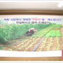 건강나라건강원