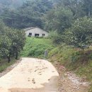 덕인농장 이미지