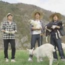 삼시세끼흑염소 헤럴드경제