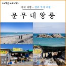 문무 | 경주 문무대왕릉 후기 무료 주차장 정보부터 포토 스팟 위치까지 한 번에 정리