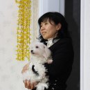 영숙 태양광 이미지