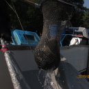 (주)만수