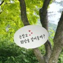 [국내여행/이천] 서울 근교 1박2일 여행 코스 추천
