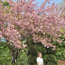 각원사약수 이미지