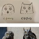 부엉이 PC방 이미지