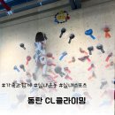 수원 화성 아이랑 어린이클라이밍 실내운동 동탄 CL클라이밍 솔직 체험 후기