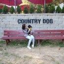 컨트리애견 이미지