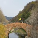 영산 만년교 이미지