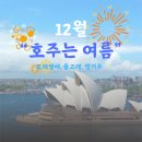 돌고래농장 | 둘째날) 호주 시드니 5박 7일 패키지 여행 후기 - 모래썰매, 돌고래, 캥거루..