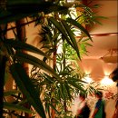 청계산갈비 이미지