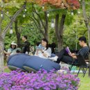 가을바람 솔솔 부는 유림공원에서 책과 함께 즐기는 유성독서대전 일정 주차 명당 팁 이미지