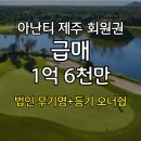 아난티 클럽 제주 휴양콘도미니엄 | [공지] 아난티클럽 제주 회원권 1억 6천 급매 - 법인무기명·전국 아난티 이용 가능