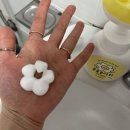 세오니네집 이미지