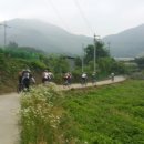 송백자전거도로 이미지