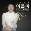 이은미 콘서트 이미지