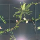 와룡자연휴양림 이미지