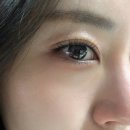 (주)아성다이소 단대오거리점 | 단대오거리속눈썹 라드네스 / 속눈썹펌 만족