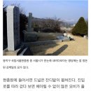 양지63 이미지
