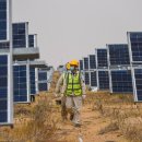 신화글로벌태양광발전소 이미지