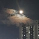 제일부동산중개 이미지