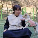 산삼자연휴양림(함양) | 함양군, 산삼자연휴양림 ‘반려견 전용 숲’ 전국 선도모델로 부상